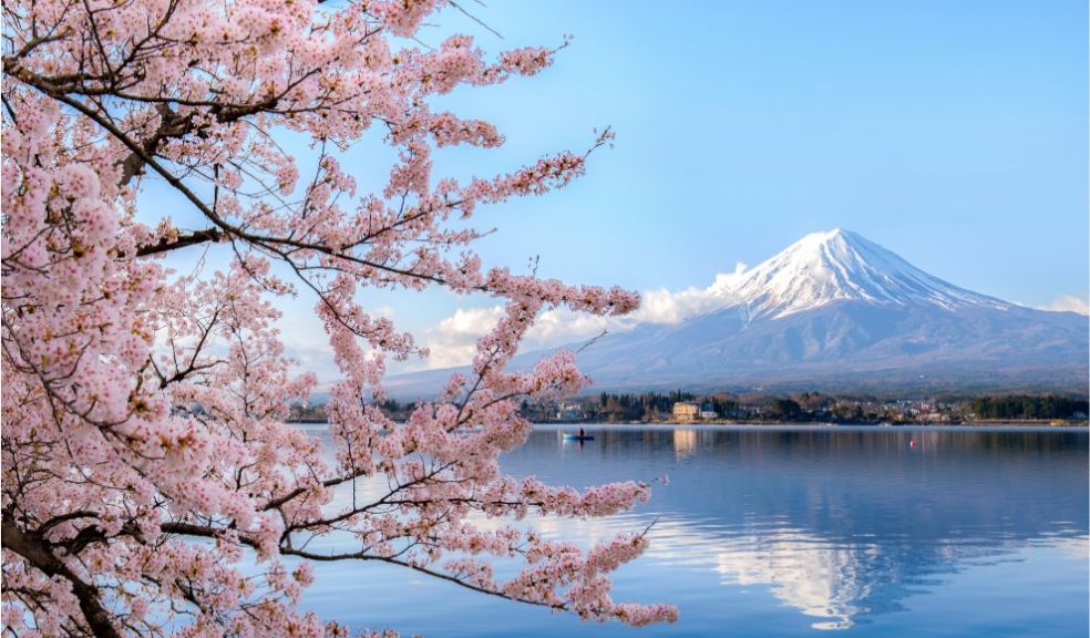 Five reasons to add Japan to your travel bucket list Mount Fuji cherry blossom