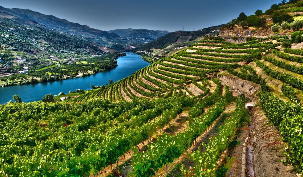 Douro Valley Portugal Travel Must Visit Destination