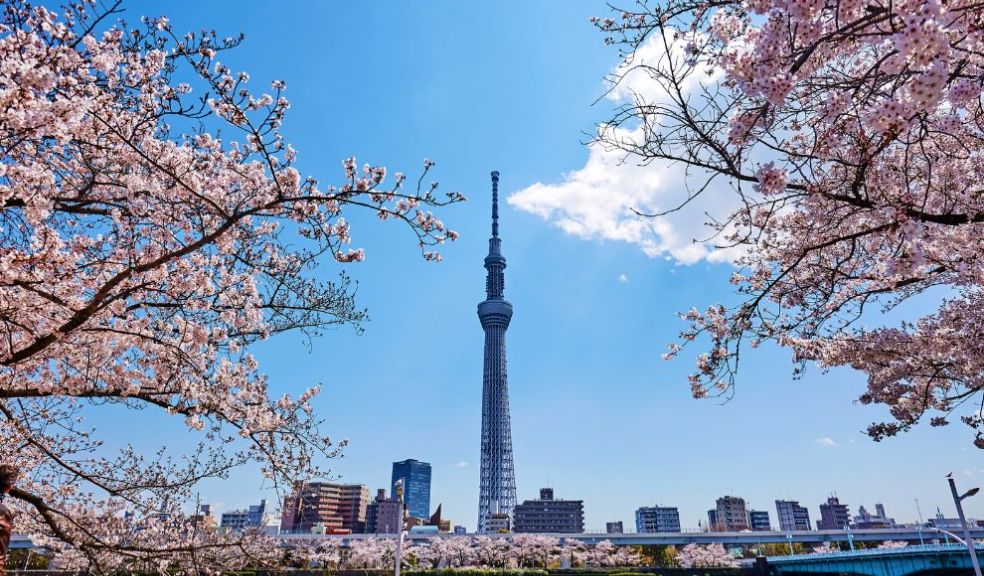 Tokyo Japan Top Ten Travel Destinations to Mark Your Big Achievements travel