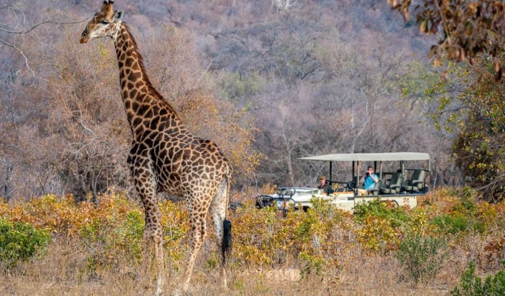 World Animal Day with Lepogo Lodges South Africa Travel