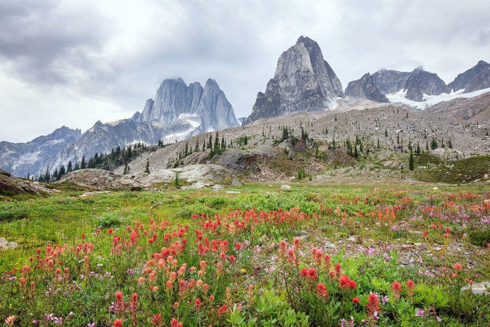 CMH Bugaboos British Columbia Say hello to summer holidays in North Americas mountains travel