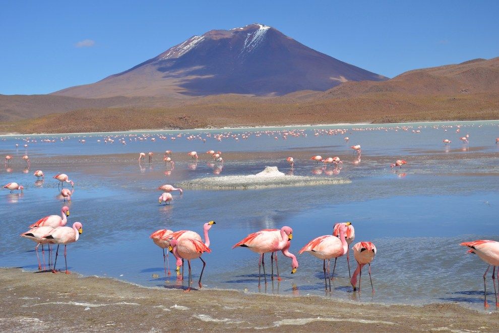 Salar the Uyuni salt flats Bolivia most unknown paradises in the world travel