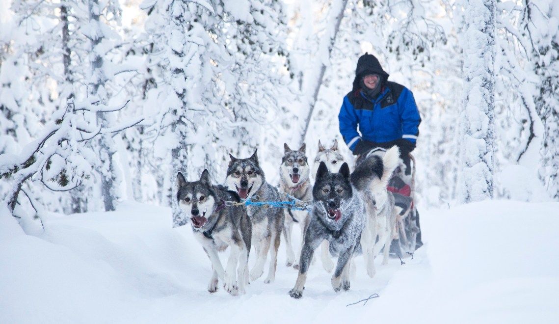 Travel across the magical Arctic Circle for your personal meeting with Santa Claus Husky Ride