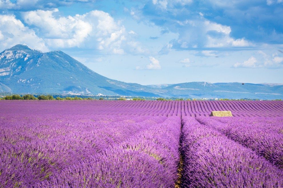 Valensole Plateau France most unknown paradises in the world travel