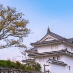 UK traveller overnight stays in Shizuoka increase by over 270%
