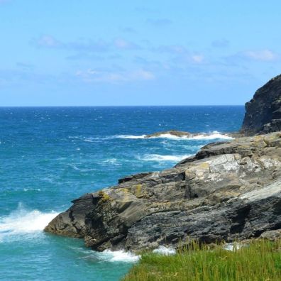 Cornish Beach Spring Flowers Travel