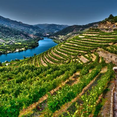 Douro Valley Portugal Travel Must Visit Destination