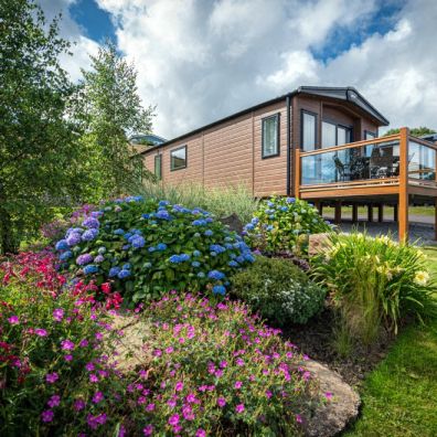 Tree Tops Caravan park Wales in Bloom award travel