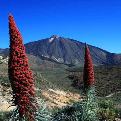 Mount Teide, Spain's highest peak in Tenerife